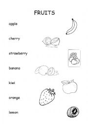 English Worksheet: fruits