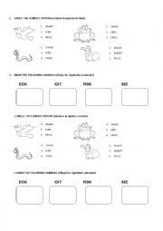 English Worksheet: Animals
