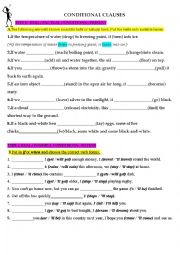 English Worksheet: Conditionals types 0 and 1