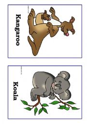 English Worksheet: Australian animals