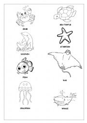 English Worksheet: Sea Animals - The Little Mermaid movie