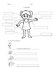 English Worksheet: Parts of the body and common illnesses