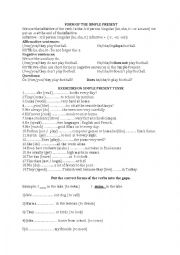 English Worksheet: simple present