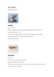 English Worksheet: Wild animals - Web Quest