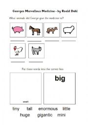 English Worksheet: GMM (Georges Marvelous Medicine) big small animals