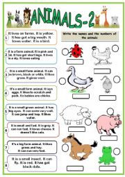 English Worksheet: animals