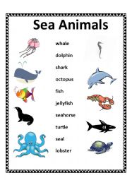 English Worksheet: Matching - Sea Animals