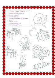 English Worksheet: insects