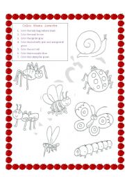 English Worksheet: insects