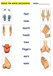 English Worksheet: Match the words and pictures