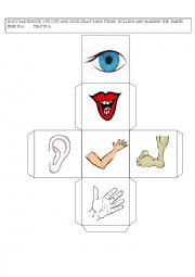 English Worksheet: body dice