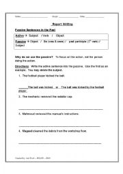 English Worksheet: Grammar