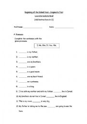 English Worksheet: Diagnostic Test - Low Intermediate  Level