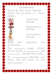 Circulatory System Respiratory System and Digestive System 