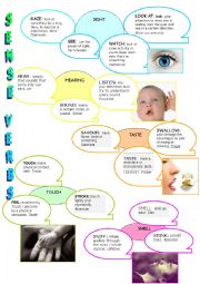 SENSE VERBS