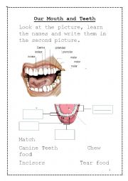 Our Mouth