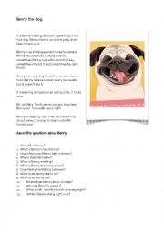 English Worksheet: BENNY THE DOG