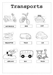 English Worksheet: Transports