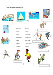 Vocabulary Practice for Sports