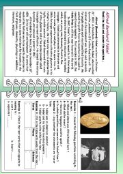 English Worksheet: Alfred Bernhard Nobel 