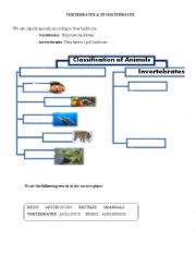 Sorting animals: vertebrates/ invertebrates