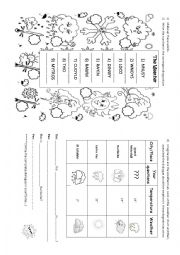 English Worksheet: The Weather