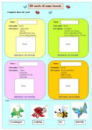 English Worksheet: ID cards of some instects