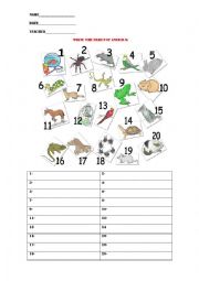 English Worksheet: Animals