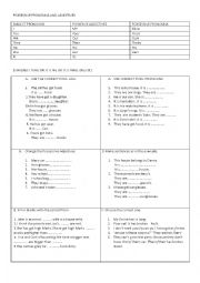 English Worksheet: possesive adjectives and pronouns