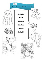 English Worksheet: Sea Animals 