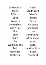 English Worksheet: Countable and uncountable packing game