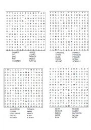 English Worksheet: Animals Wordsearch