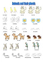 English Worksheet: Animals and their plurals