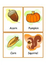 English Worksheet: Fall - Flash-cards