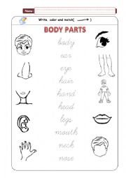 English Worksheet: Body Parts  - Matching