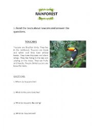 English Worksheet: Rainforest
