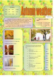 English Worksheet: Autumn weather