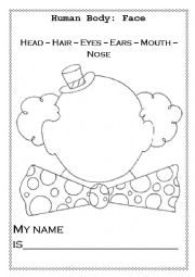 English Worksheet: Human Body: Face