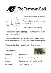 English Worksheet: Tasmanian Devil