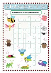 Insects Crossword