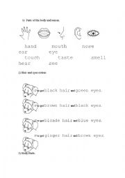 English Worksheet: Parts of the body and colours