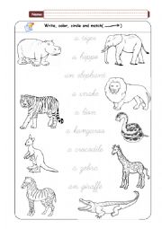 English Worksheet: Wild animals - Matching pictures