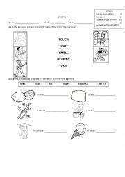 SENSES - ESL worksheet by Ileana Hernandez