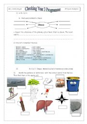 English Worksheet: First revision for 4th year students