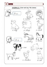 Domestic Animals - Part 01