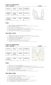 English Worksheet: Places and prepositions