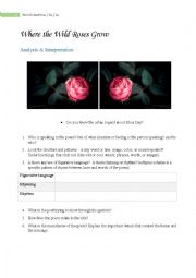 English Worksheet: Where the Wild Roses Grow analysis worksheet