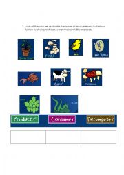 Producers, consumers and decomposers