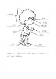 English Worksheet: Body parts