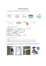 English Worksheet: future worksheet